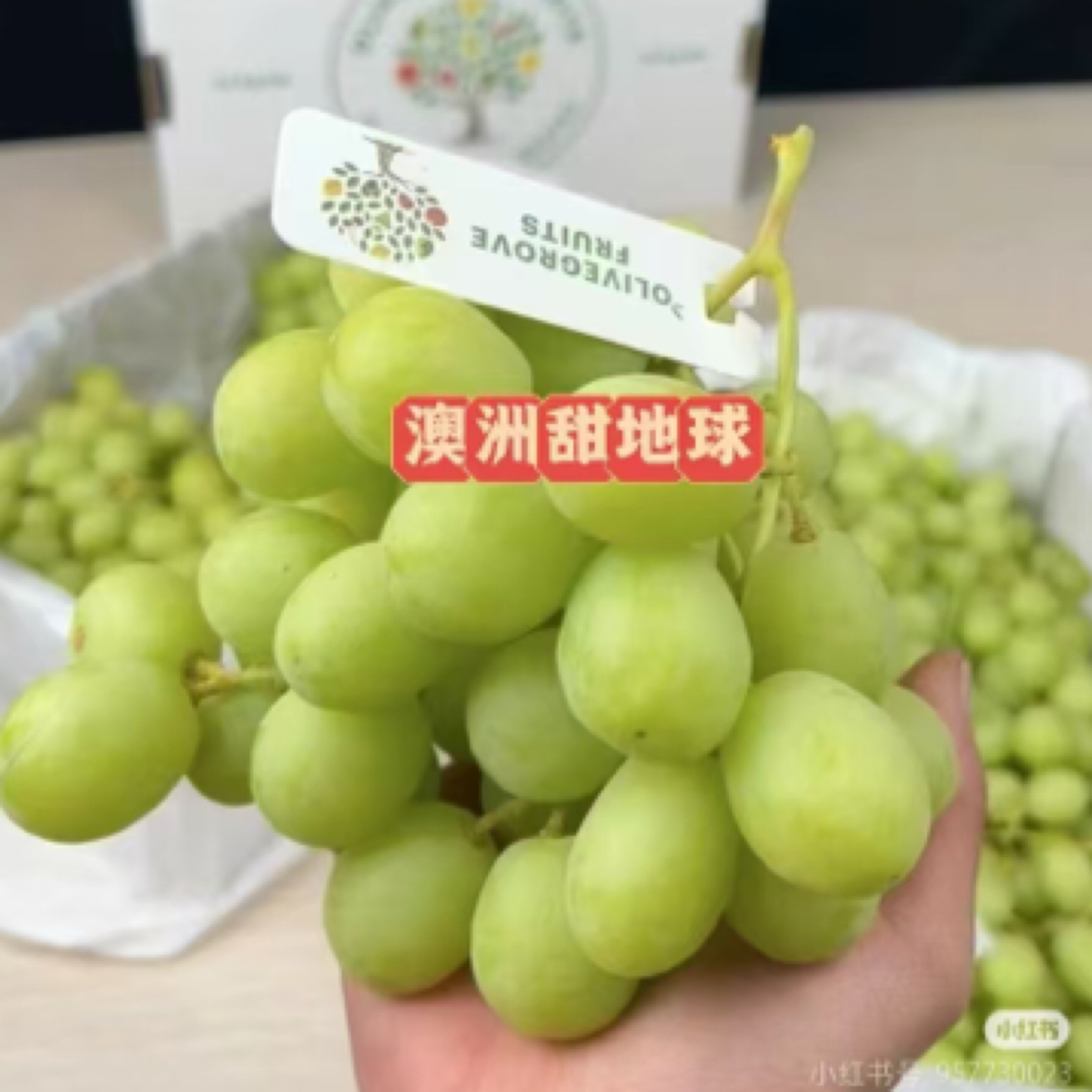 澳洲纯甜地球青提一斤