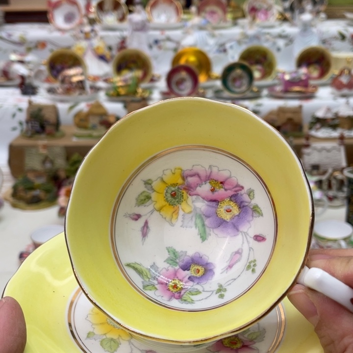 盘维多利亚欧洲中古