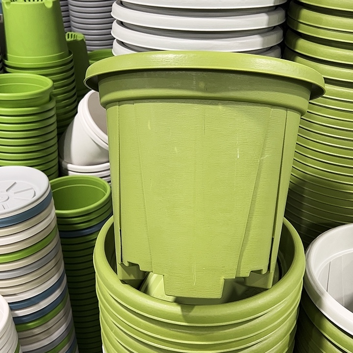 清仓青山口32高28果绿色5只无托