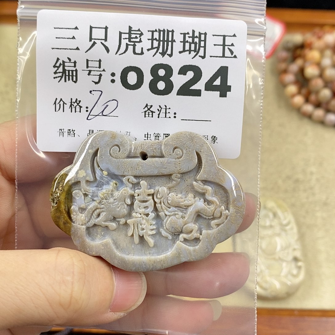 硅化珊瑚（珊瑚玉）1未镶嵌H***Y