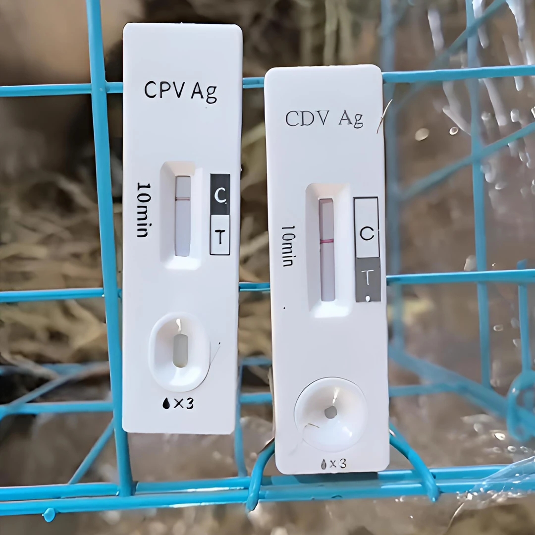 检测试纸拍前咨询客服