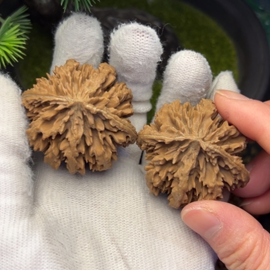 日***亮文玩核桃吊坠秦岭核桃12