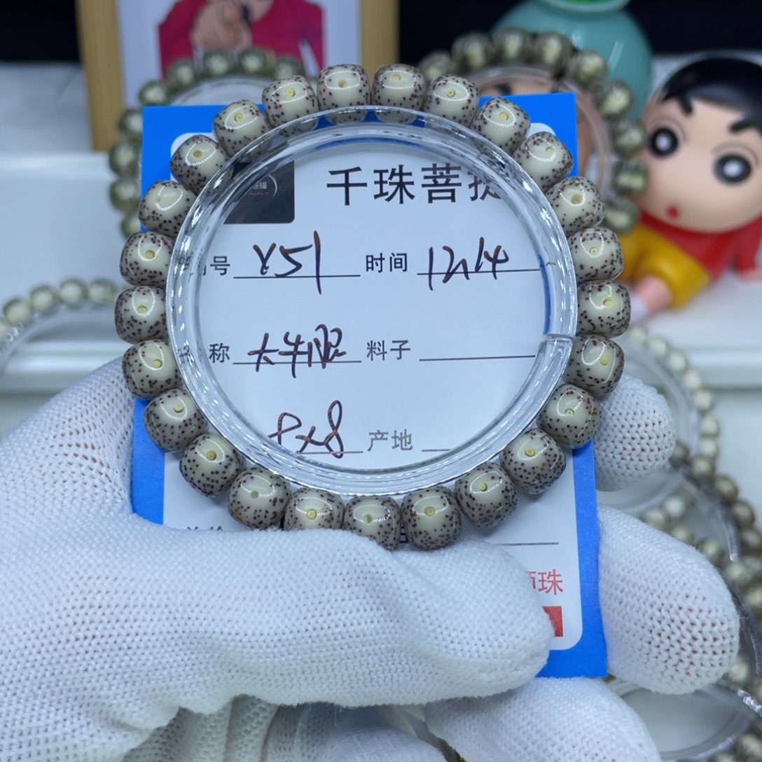 菩提籽类Y51大牛眼