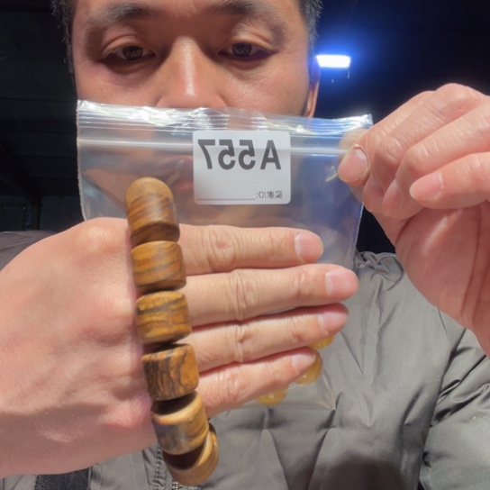 大叶紫檀（黑酸枝木类）…**…557