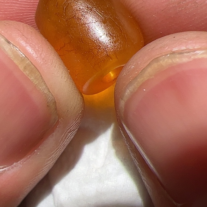 香榧木你的时候你是