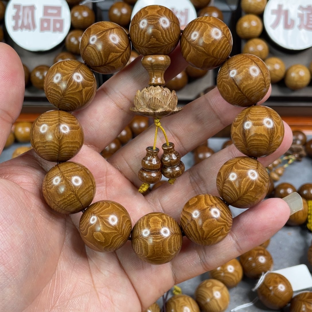 六道木2.0黄金底毕业季