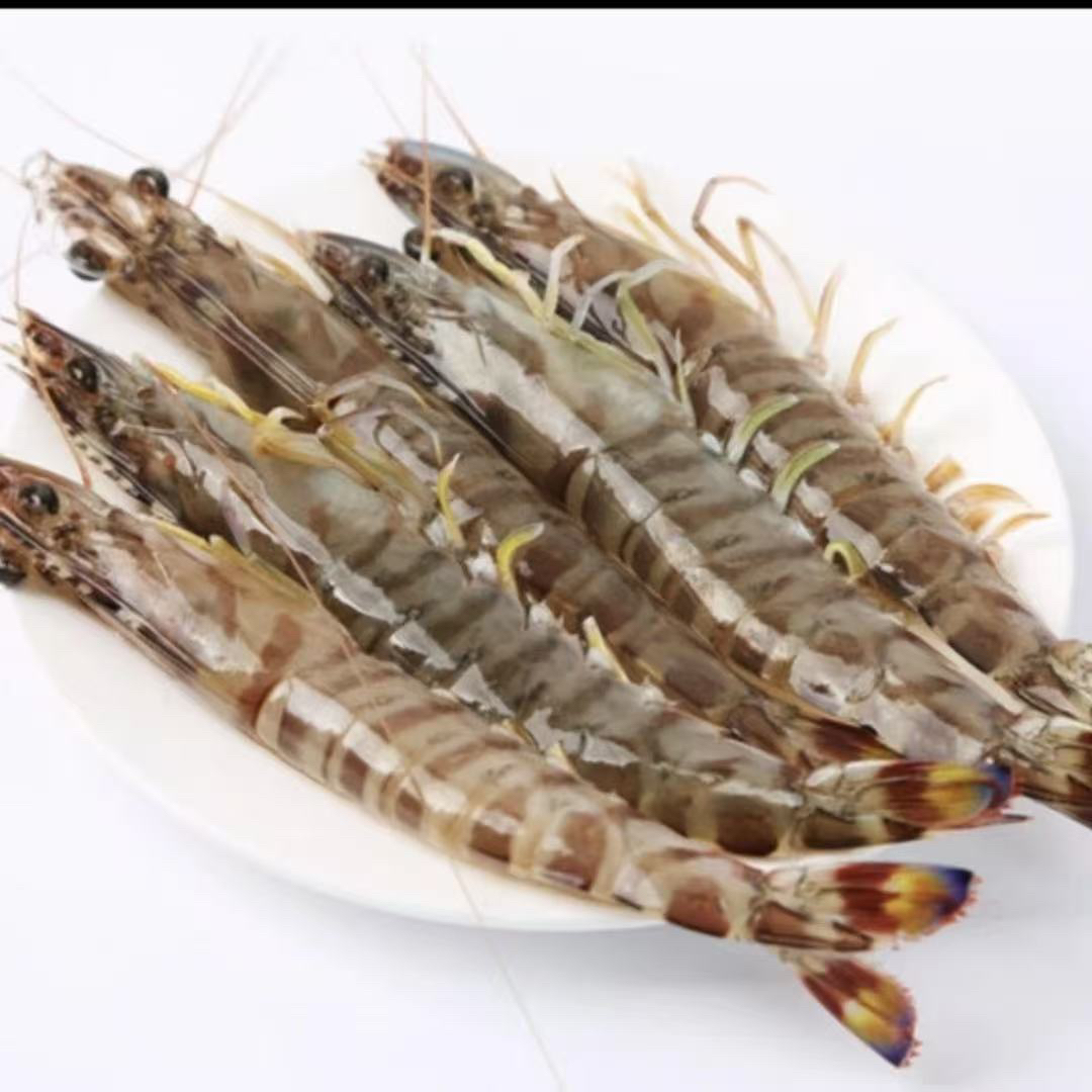 （冰鲜）断氧基围虾 当天牺牲 新鲜发货（多斤数可选）