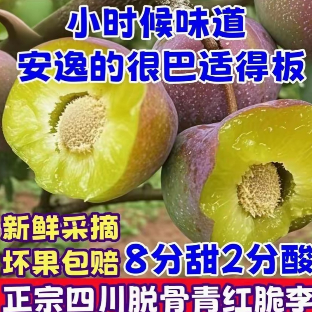 【现摘现发】四川正宗高山青红脆李五月脆半边红茵红李脆甜李子