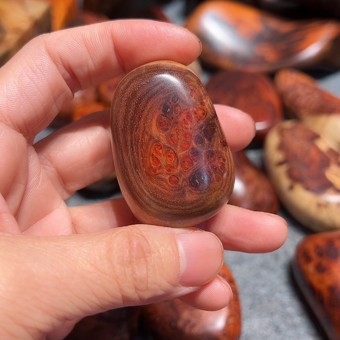 林***人染料紫檀（血檀）赞比亚