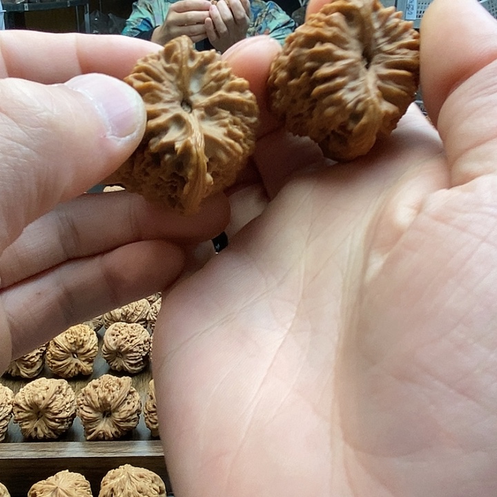 高***环大叶紫檀（黑酸枝木类）南疆