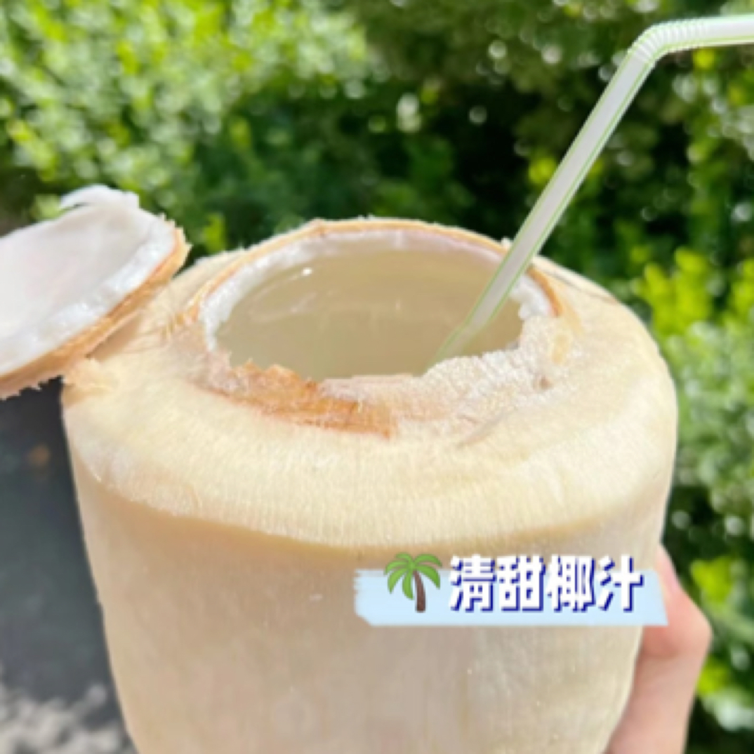【配送到家】佳农椰子一颗900克左右