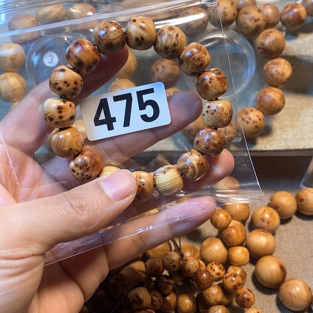 柏木（崖柏）崖柏老型1.3-475