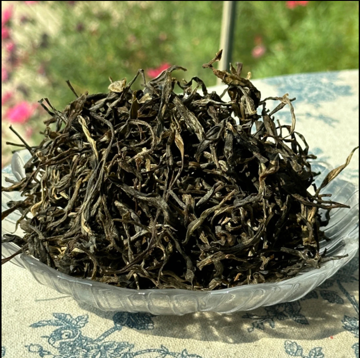 24年-老虎箐-散茶