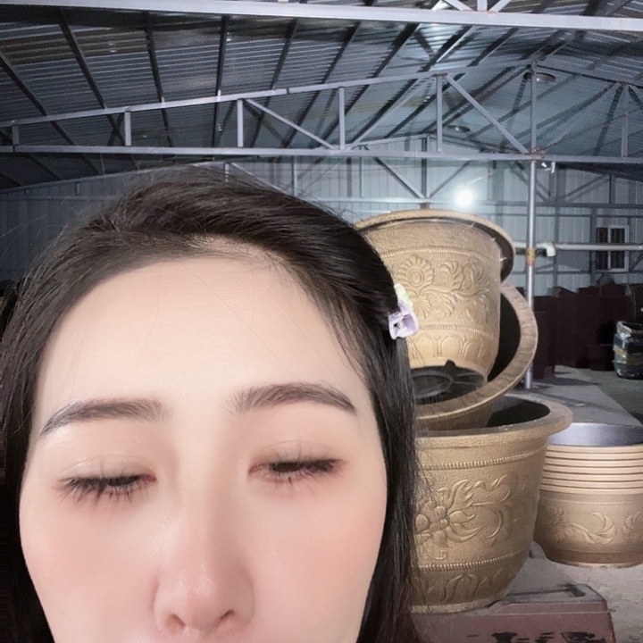 圆50口径花盆两个