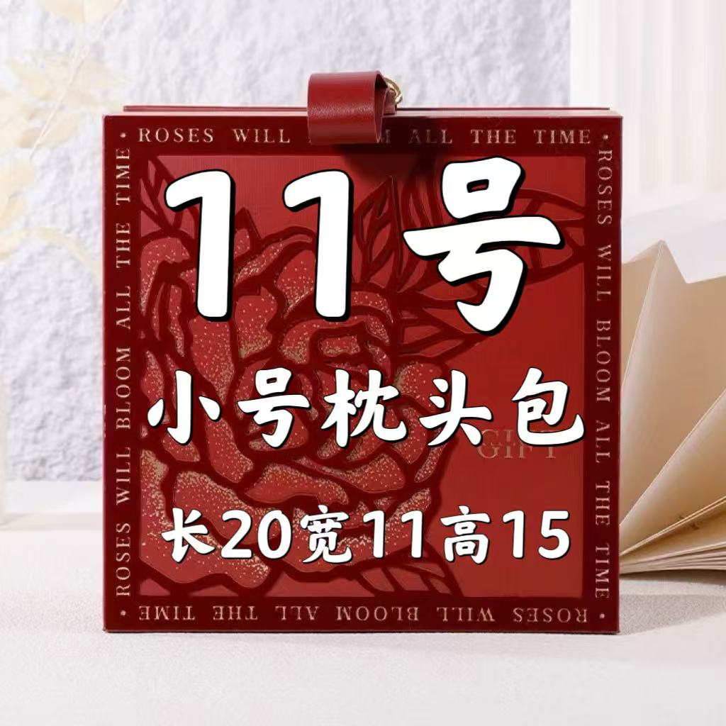 【11号】2025新款时尚百搭潮流气质小号枕头包 A6507-12