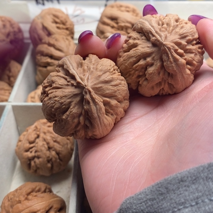 清***酒文玩核桃吊坠霸王龙