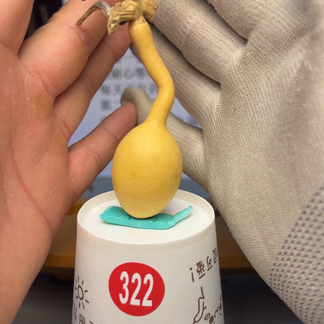 闪电购自助下单编号322