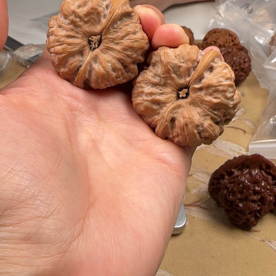 文玩核桃吊坠蛤蟆40-16