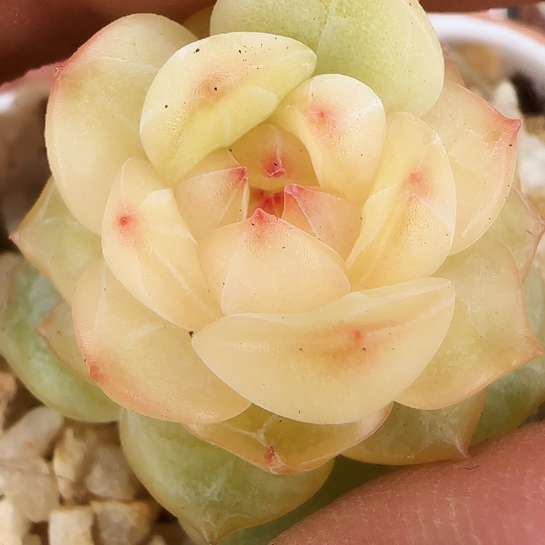 99号哈哈哈哈哈哈