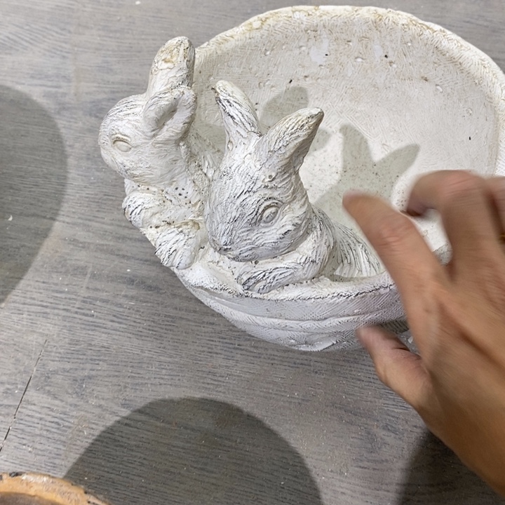 花盆81919191919191949