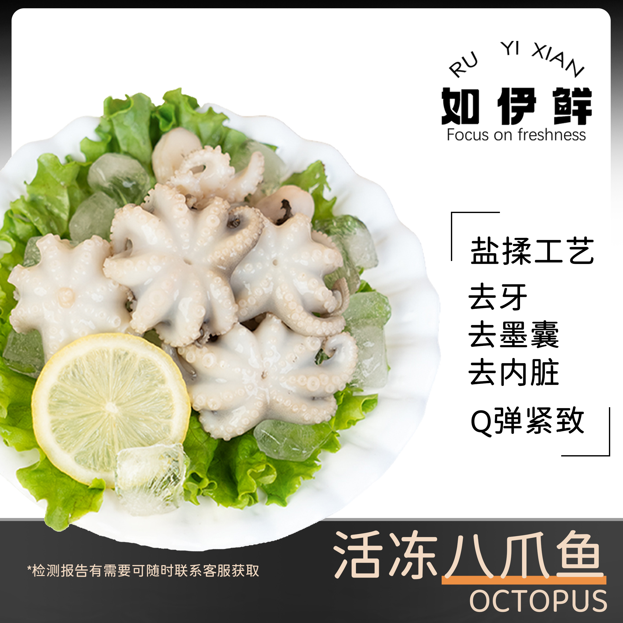 【琴岛如伊鲜】活冻八爪鱼速冻净重400g/包每包6-8只  共发3包