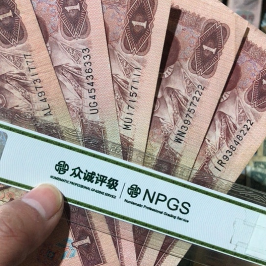 5张退市旧票福利品豹子