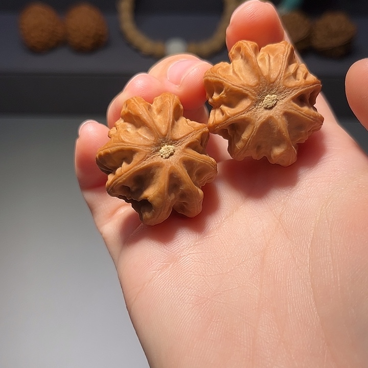 文玩核桃把件霸王龙745