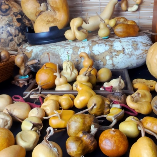 学*者满身橘皮裂大扁响籽