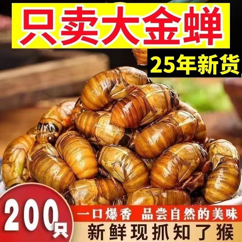 【兔优达3】2025新鲜金蝉知了猴速冻现抓爬又猴蝉蛹