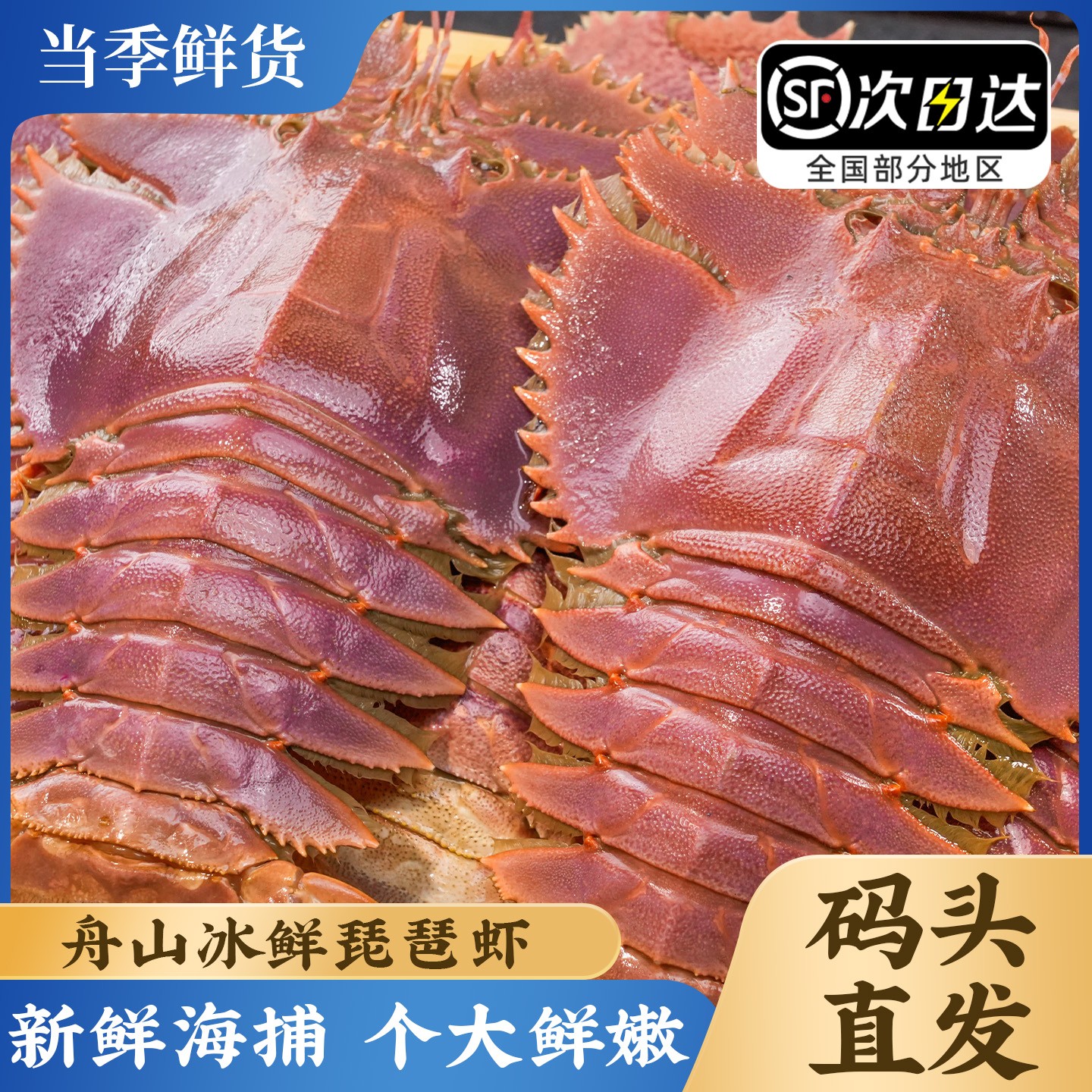 舟山琵琶虾船冻冰鲜九齿扇虾海鲜虾姑特大濑尿虾生鲜深海冷冻爬虾