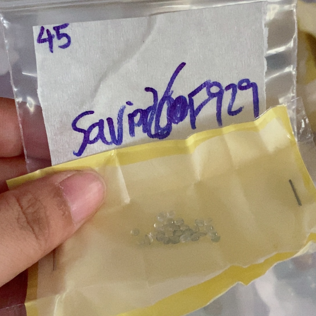 s***r定制翡翠未镶嵌不