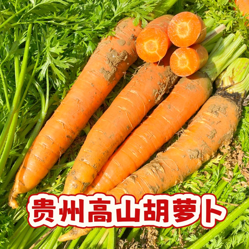 胡萝卜贵州高山现挖新鲜胡萝卜红萝卜脆甜可口带泥直发当季蔬菜
