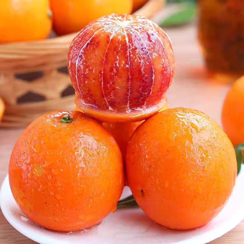 (小果）正宗四川塔罗科血橙新鲜水果现摘先发自然生长