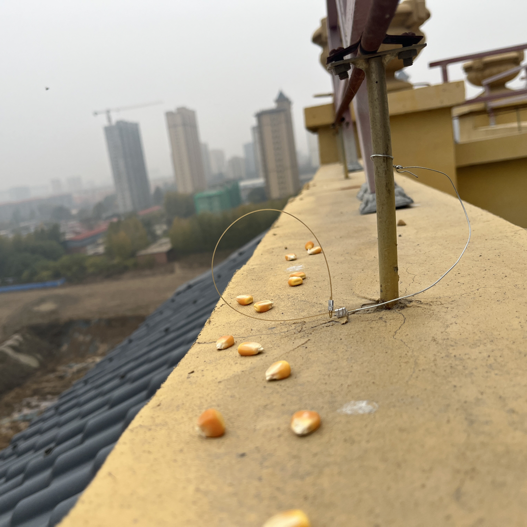 家用鱼线线组线圈