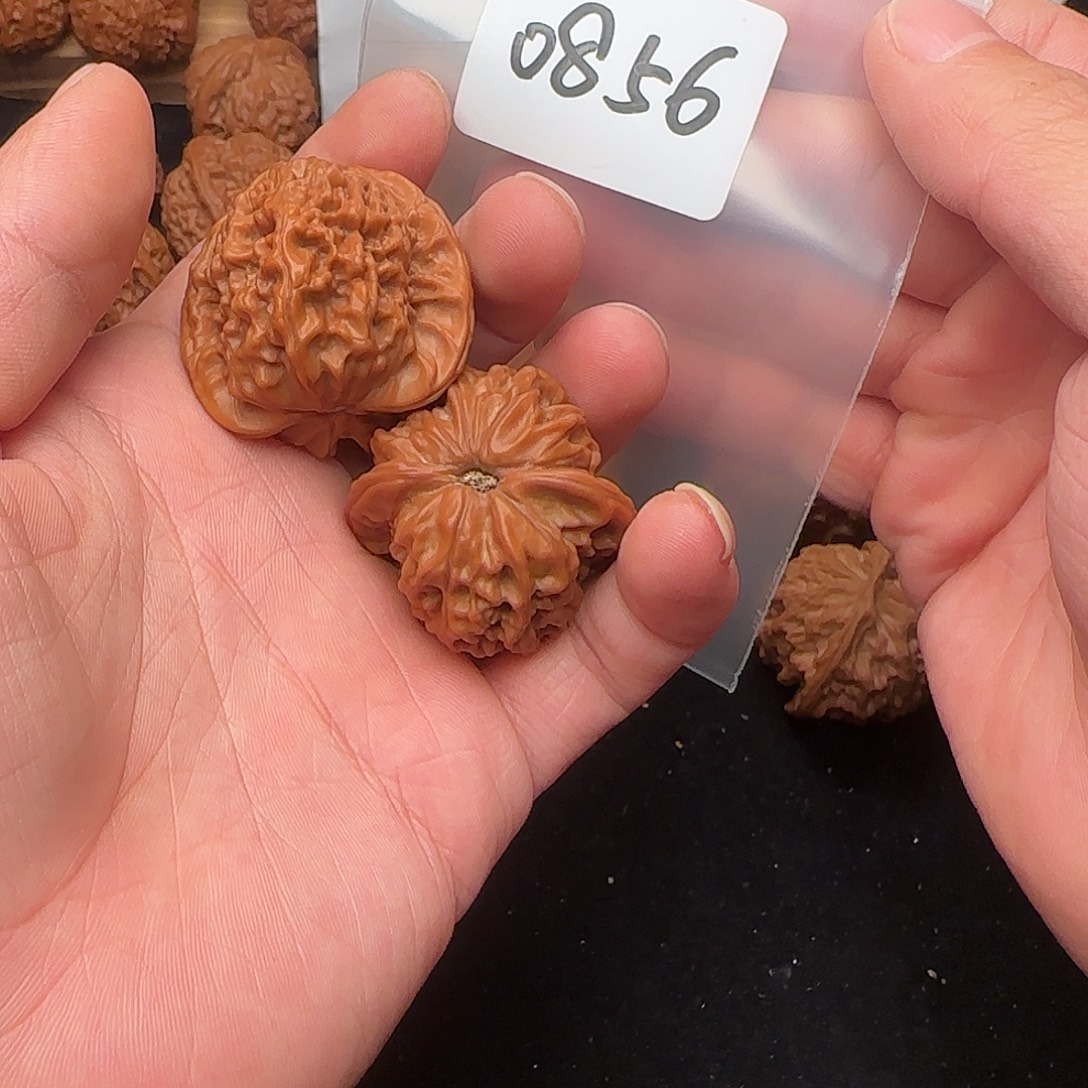 ****把件文玩核桃0856全品38马老四