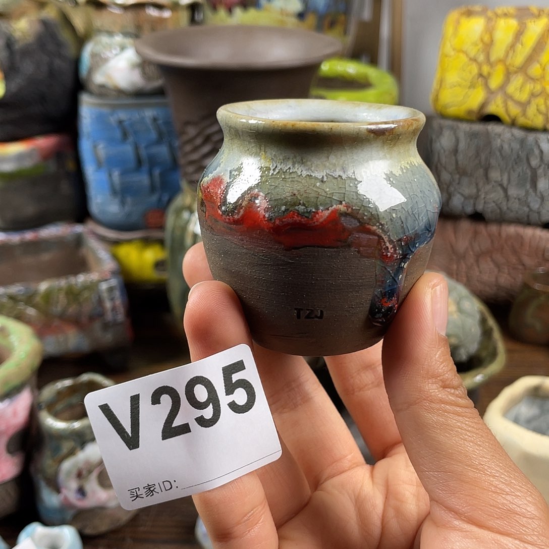 默认微次  限时福利 坛子姐花盆