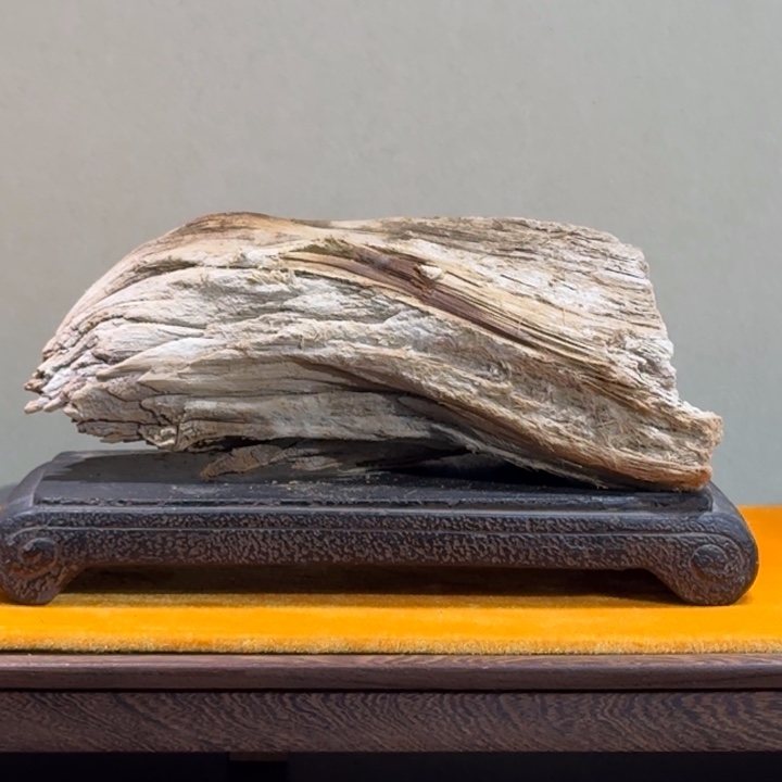 一***涯柏木（崖柏）嗯！好好哦好好啊你好好