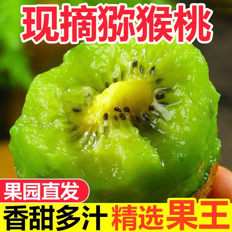湖南湘西现摘现发猕猴桃奇异果大果应季水果