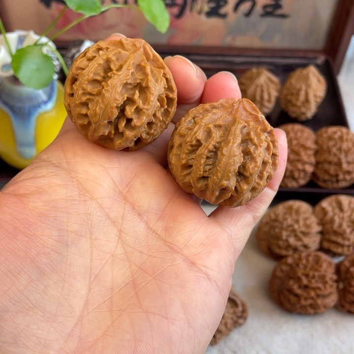 核桃秦岭山脉文玩