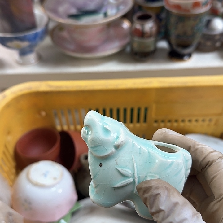 碗开播啦….开播啦