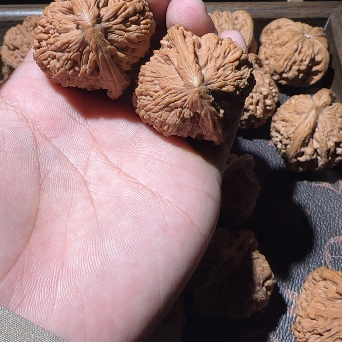 南疆事哈哈哈哈哈哈