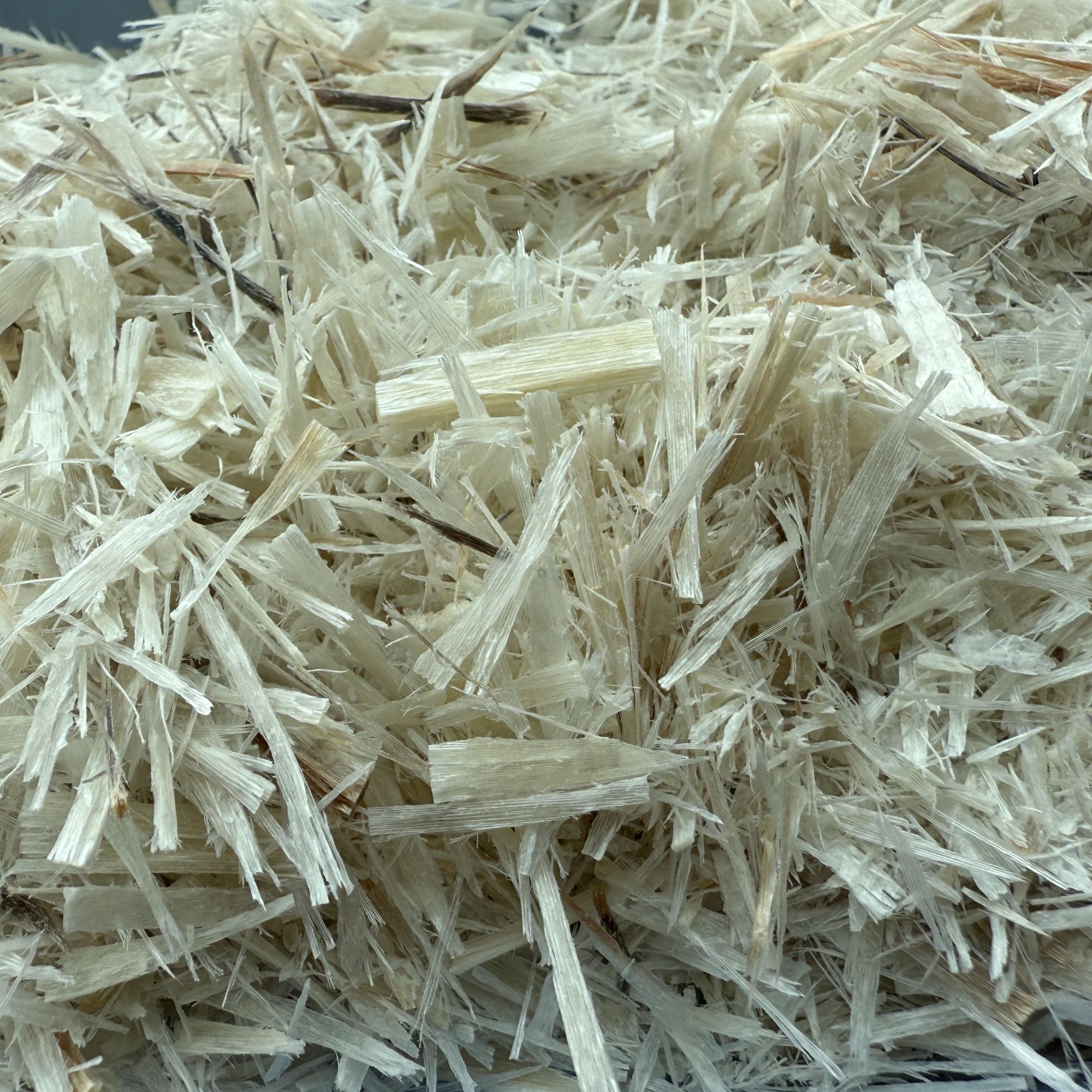 实物链接 牛..角..丝 土特产山货2