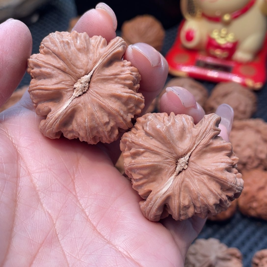 文玩核桃把件白狮子4.0全品