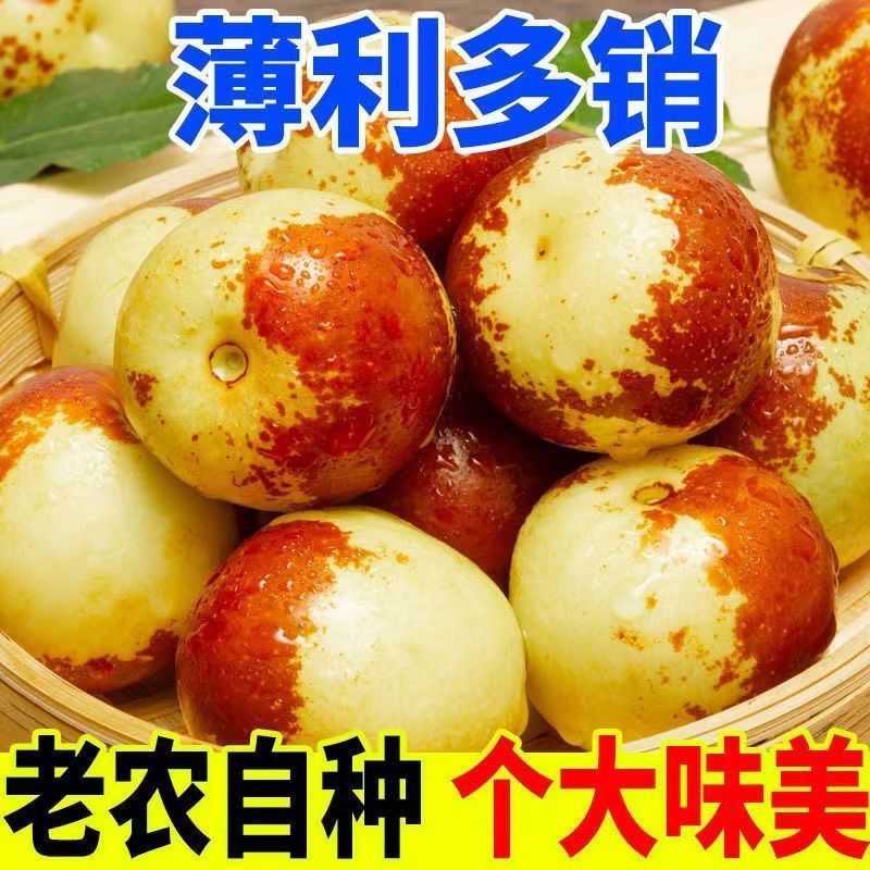 自家果园现摘新鲜冬枣脆甜可口当季水果果园直供-DB