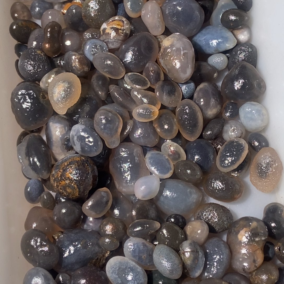 星***晨阿拉善黑糖心鱼缸石