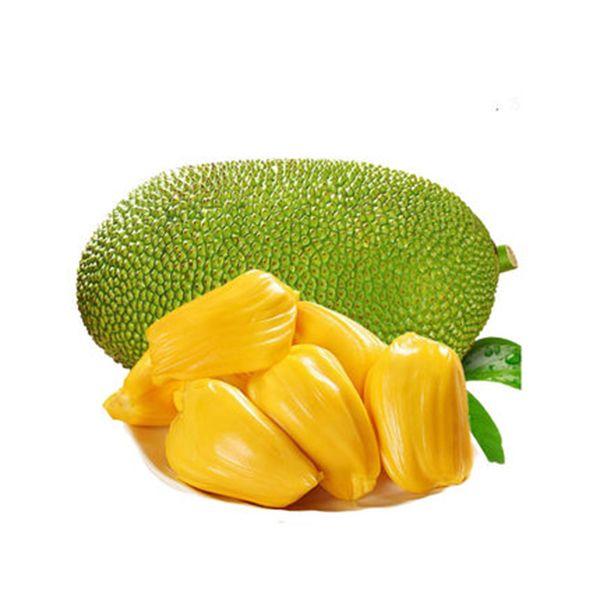 果切新鲜 菠萝蜜 一份