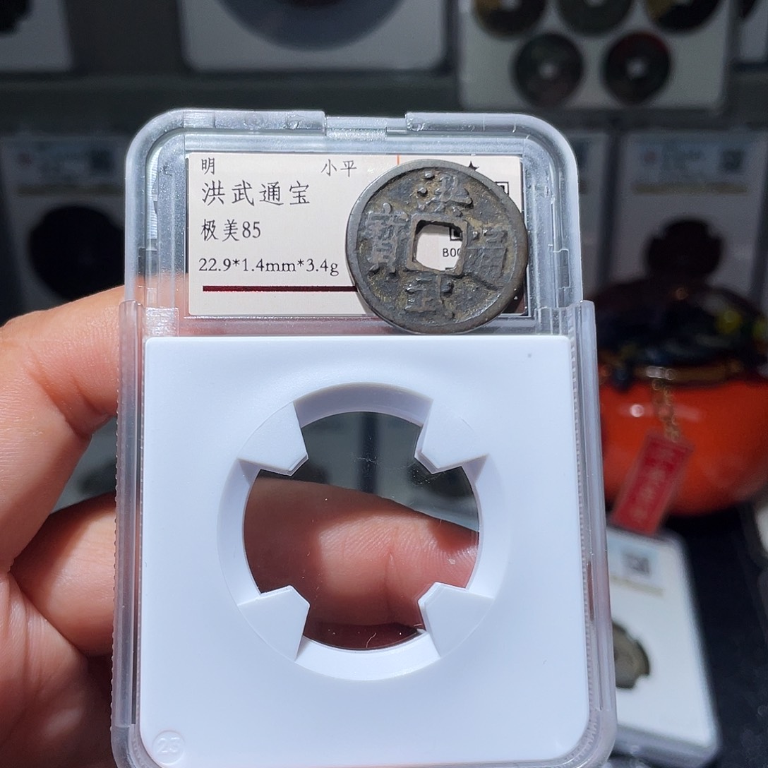 铜天浩古泉（幺妹精选）洪武小平205