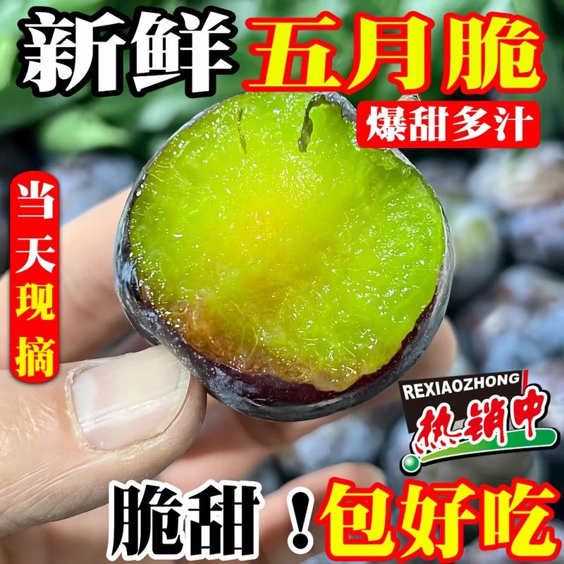 【顺丰明日到家】五月脆李子 脆甜 湖南红星直发李子同城送g四川省