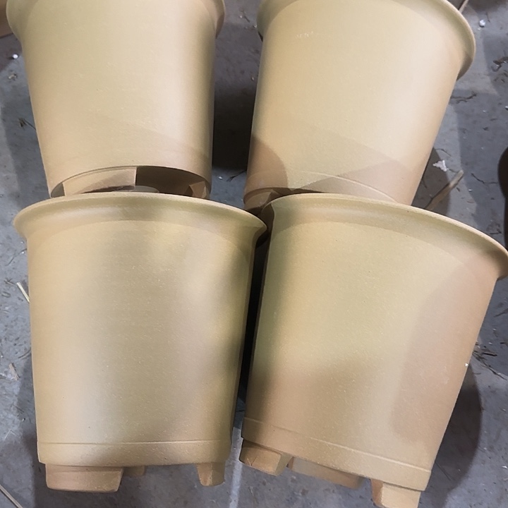 20×19四只福利款       