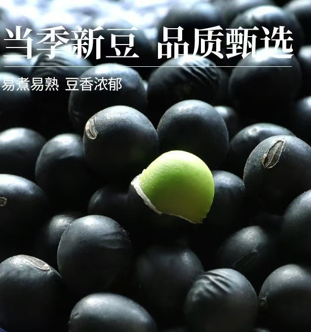 东北农家绿心黑豆新货青仁绿芯打豆浆五谷杂粮煮粥可发芽